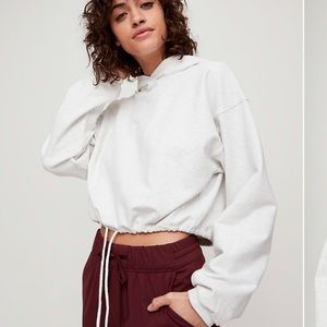 Aritzia the constant hoodie
